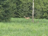 Poilsiui, gyvenimui. Keliolika minučių nuo - nuotraukos Nr. 48