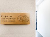 Nuomojamas Stilingas 2 Kambarių Butas - nuotraukos Nr. 36