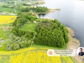 Parduodama sodyba - įsikūrusi ramioje ir