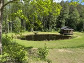 Unikalus slėnis miške(pašaliniams uždarytas - nuotraukos Nr. 6