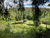 Unikalus slėnis miške(pašaliniams uždarytas - nuotraukos Nr. 8