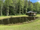 Unikalus slėnis miške(pašaliniams uždarytas - nuotraukos Nr. 7