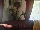Parduodamas namas su garažu ir baldais - nuotraukos Nr. 10