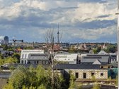 Nuomojamas erdvus, stilingai ir kokybiškai - nuotraukos Nr. 6