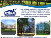 Parduodamas itin erdvus namų valdos žemės - nuotraukos Nr. 18