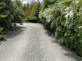 Parduodamas gyvenamasis namas kartu su - nuotraukos Nr. 3