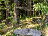 Parduodamas Namas Greta Miško - nuotraukos Nr. 28