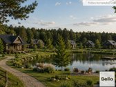  – Nt ekspertai be procentų - nuotraukos Nr. 6