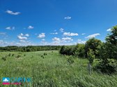 Gera Kaina! Investiciniai Žemės Sklypai - nuotraukos Nr. 8