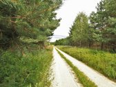 Parduodami Du sklypai vienas šalia kito, - nuotraukos Nr. 15