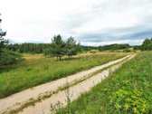 Parduodami Du sklypai vienas šalia kito, - nuotraukos Nr. 16