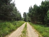 Parduodami Du sklypai vienas šalia kito, - nuotraukos Nr. 17