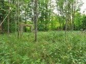 Parduodami Du sklypai vienas šalia kito, - nuotraukos Nr. 20
