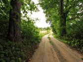 Parduodami Du sklypai vienas šalia kito, - nuotraukos Nr. 18