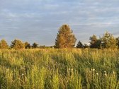 Parduodami Namų Valdos Sklypai Naujame - nuotraukos Nr. 10