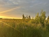 Parduodami Namų Valdos Sklypai Naujame - nuotraukos Nr. 11