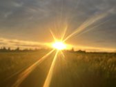 Parduodami Namų Valdos Sklypai Naujame - nuotraukos Nr. 12