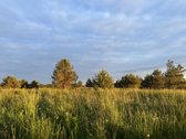 Parduodami Namų Valdos Sklypai Naujame - nuotraukos Nr. 13