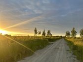 Parduodami Namų Valdos Sklypai Naujame - nuotraukos Nr. 14
