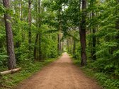 Parduodamas Stilingai Įrengtas 2 Kambarių - nuotraukos Nr. 18