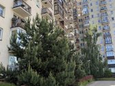 Parduodamas butas Fabijoniškėse prie Big