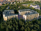 Gyvenimas pušyno apsuptyje šalia centro