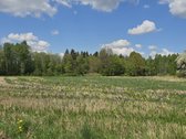 Investicinis Pasiūlymas – 2,56 Ha Sklypų - nuotraukos Nr. 13