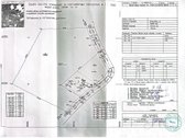 Investicinis Pasiūlymas – 2,56 Ha Sklypų - nuotraukos Nr. 8