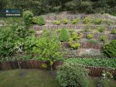 Parduodamas Veikiantis 9 Apartamentų - nuotraukos Nr. 32