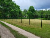 Parduodamas sodo sklypas Vilniaus rajone - nuotraukos Nr. 4