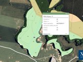 Parduodamas 2.78 ha miškų ūkio paskirties - nuotraukos Nr. 4