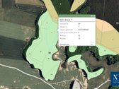 Parduodamas 2.78 ha miškų ūkio paskirties - nuotraukos Nr. 6