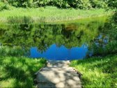 Panevėžio r. sav., Karsakiškio sen., Naujikų - nuotraukos Nr. 21