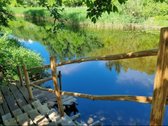 Panevėžio r. sav., Karsakiškio sen., Naujikų - nuotraukos Nr. 22