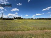 Du Namų Valdos Sklypai Po 21 A, - nuotraukos Nr. 9