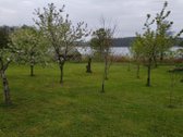 Išskirtinė Sodyba Su Nuosava Ežero Pakrante - nuotraukos Nr. 5