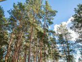 Parduodamas 2 Kambarių 37 kv.m Butas Šalia - nuotraukos Nr. 17
