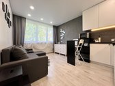 Išnuomojamas Naujai Suremontuotas 1 Kambario - nuotraukos Nr. 3