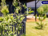 Parduodamas dviejų kambarių butas, Šventojoje - nuotraukos Nr. 12
