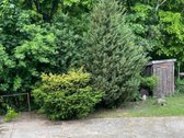  Išpuoselėta aplinka ir keli sklypai: namų - nuotraukos Nr. 10