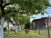 Parduodamas 8,76 arai sodo sklypas su mediniu - nuotraukos Nr. 6