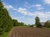 Parduodamas Mūrinis Namas Šiaulių Rajone - nuotraukos Nr. 12