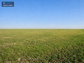 Parduodamas Žemės Ūkio Paskirties Sklypas - nuotraukos Nr. 2
