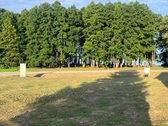 Parduodami du sklypai prie Dusios ežero - nuotraukos Nr. 3