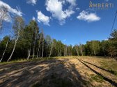 Išskirtinis pasiūlymas Pabaliuose – sklypas - nuotraukos Nr. 4