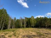 Išskirtinis pasiūlymas Pabaliuose – sklypas - nuotraukos Nr. 3