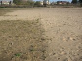 Parduodamas 1.148 ha komercinės paskirties - nuotraukos Nr. 2
