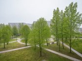 Parduodamas Tvarkingas, Erdvus 3 Kambarių - nuotraukos Nr. 14