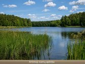 Parduodamas erdvus sklypas Vilniuje, - nuotraukos Nr. 4