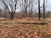 Parduodama 6,25 arų (625/26977 dalis) žemės - nuotraukos Nr. 5